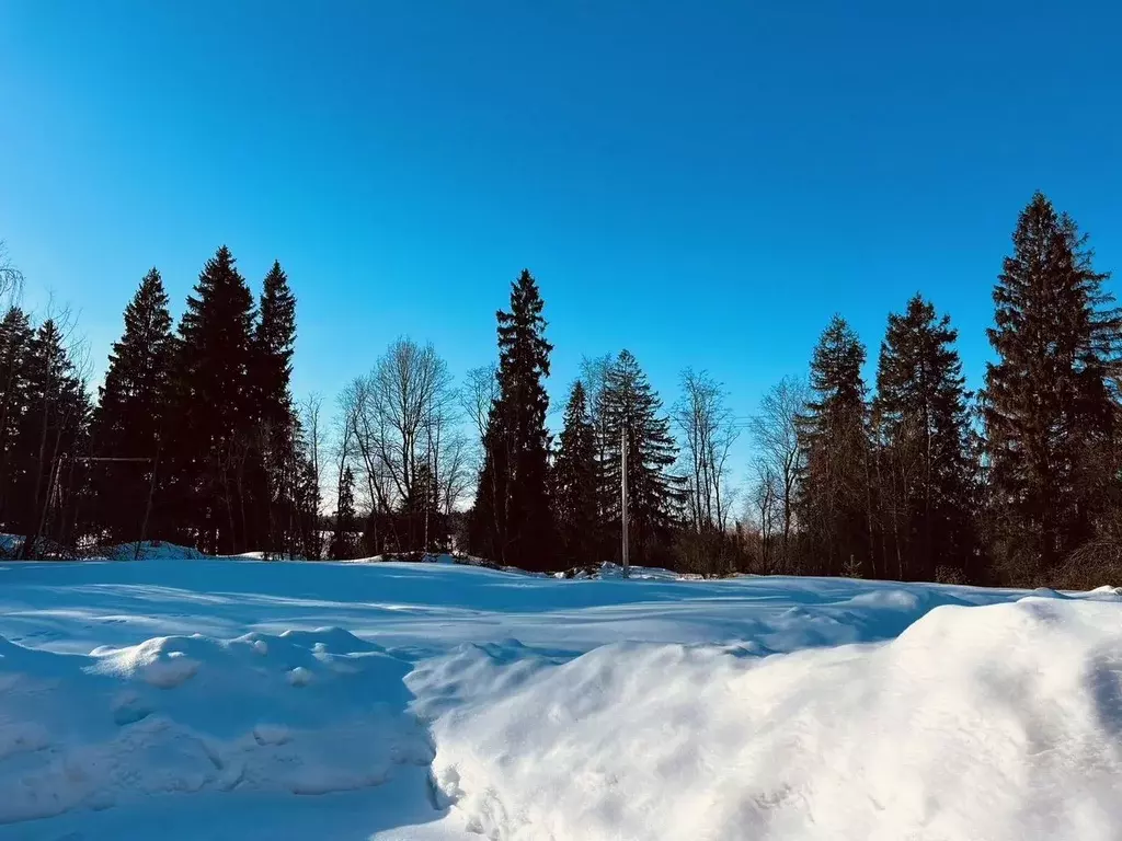 Дом в Московская область, Истра муниципальный округ, д. Глебово ул. ... - Фото 2