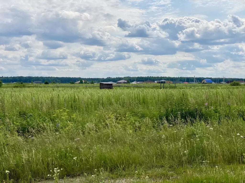 Участок в Тюменская область, Тюменский муниципальный округ, ... - Фото 1