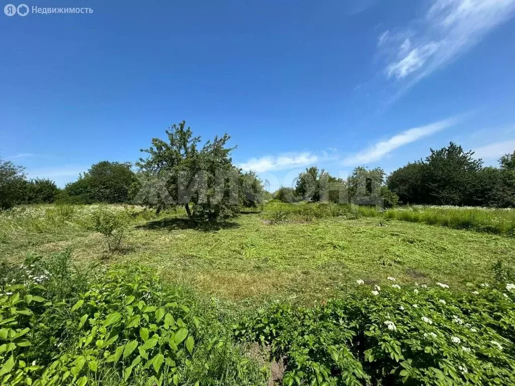 Участок в Брянский район, Снежское сельское поселение, посёлок Путёвка ... - Фото 1