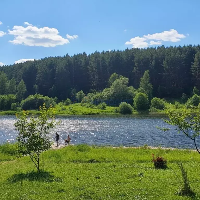 Дом в Нижегородская область, Вачский муниципальный округ, с. Беляйково ... - Фото 2