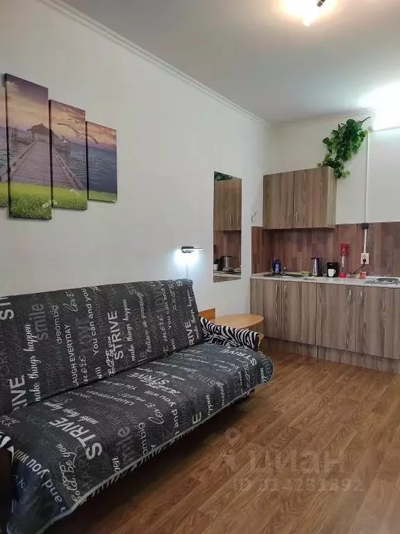 1-к кв. Московская область, Лобня Спортивная ул., 1 (20.0 м) - Фото 1