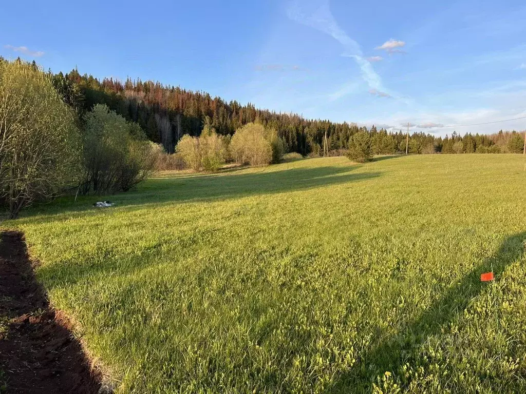 Участок в Пермский край, д. Большакино ул. Сиреневая (14.0 сот.) - Фото 1