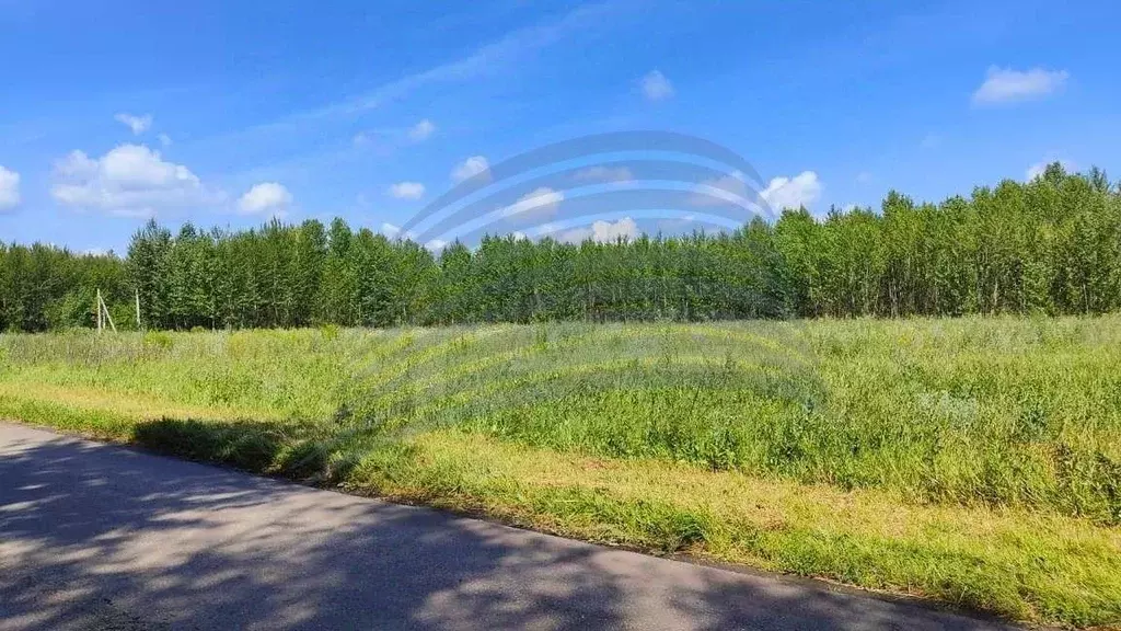 Участок в Воронежская область, Новоусманский район, Усманское 1-е ... - Фото 1