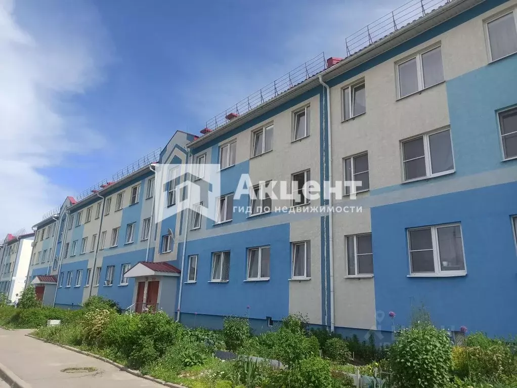 Студия Ивановская область, Кохма ул. Романа Куклева, 32 (28.0 м) - Фото 1