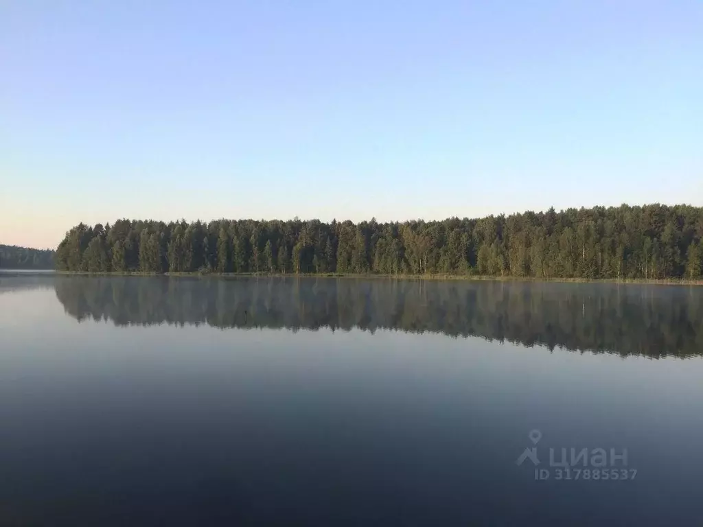 Участок в Владимирская область, Киржачский район, Кипревское ... - Фото 0