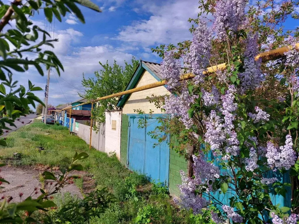 Дом в Воронежская область, Лискинский район, Высокинское с/пос, с. ... - Фото 1
