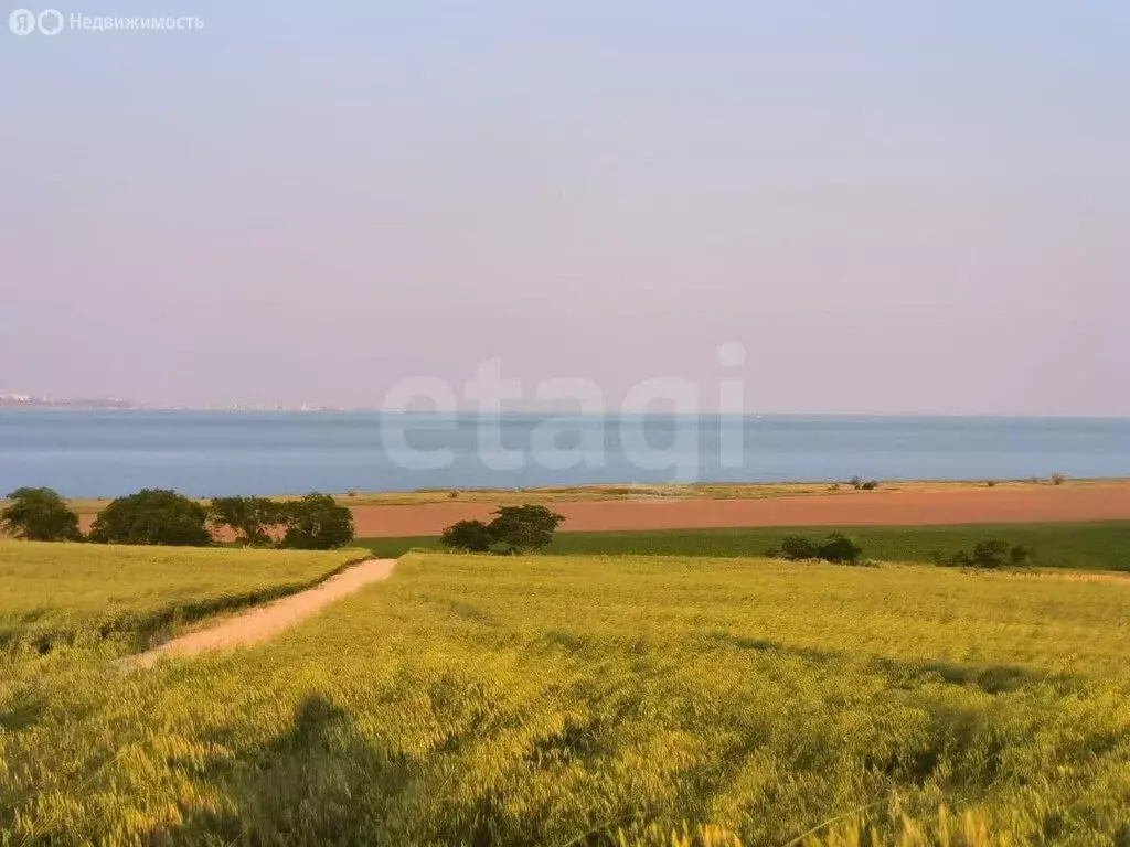 Участок в Приозёрное, Тернопольская улица (4 м) - Фото 2