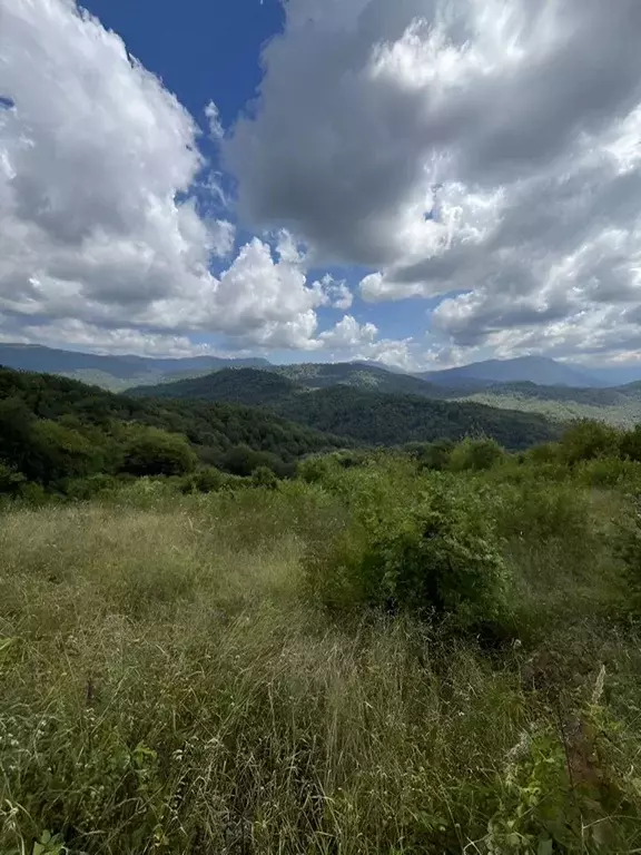 Участок в Краснодарский край, Сочи городской округ, с. Красная Воля  ... - Фото 0