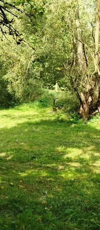 Дом в Смоленская область, Духовщина Смоленская ул., 79 (79 м) - Фото 2