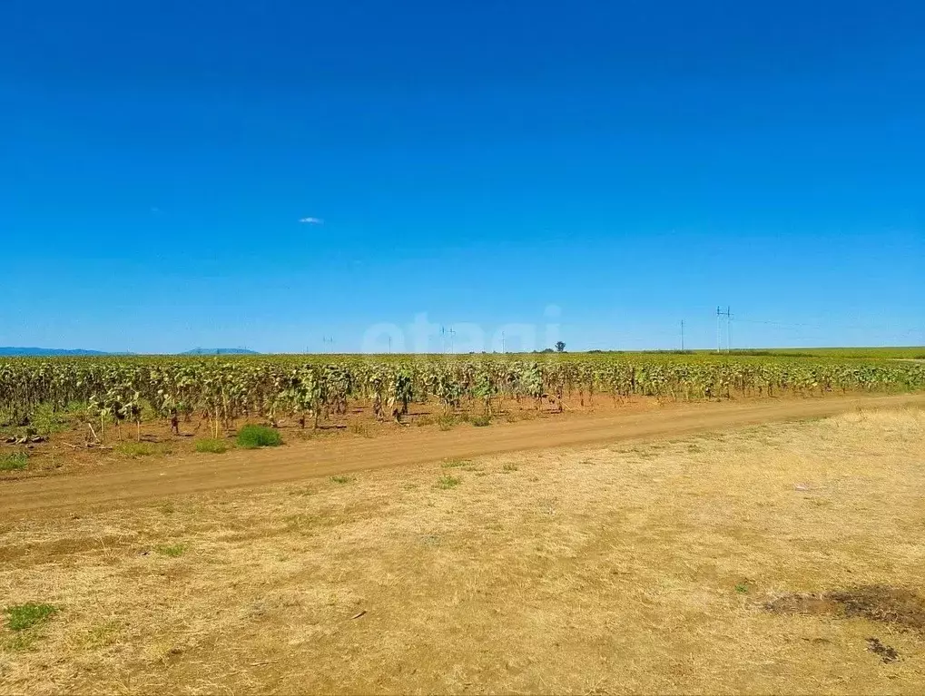 Участок в Крым, Феодосия муниципальный округ, Приморский пгт ул. ... - Фото 1