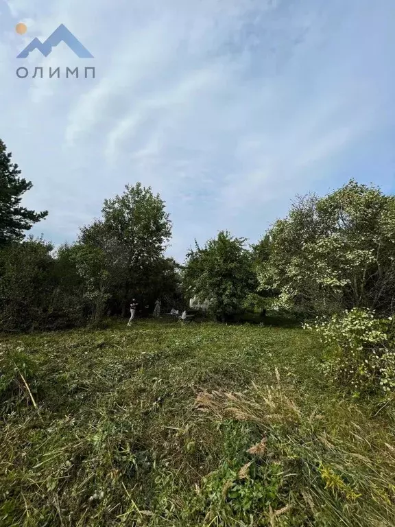 Участок в Вологодская область, Лиана садоводческое товарищество  (6.0 ... - Фото 1