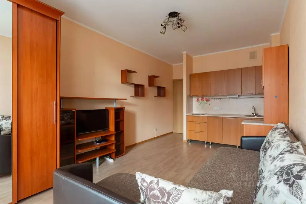 Студия Санкт-Петербург ул. Адмирала Трибуца, 5 (24.1 м) - Фото 2