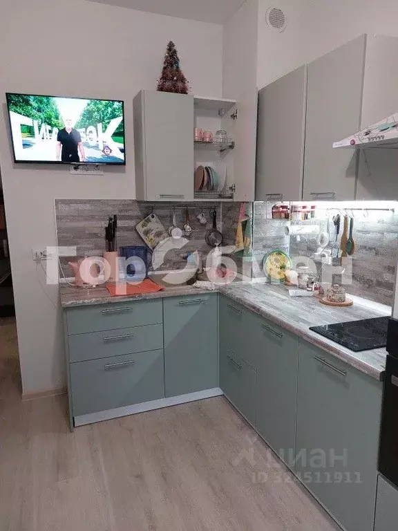 1-к кв. Московская область, Солнечногорск городской округ, Голубое пгт ... - Фото 2