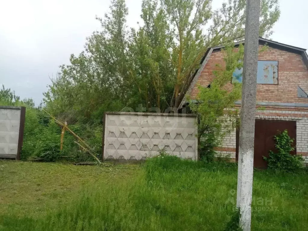 Участок в Белгородская область, Волоконовский район, с. Староивановка ... - Фото 1