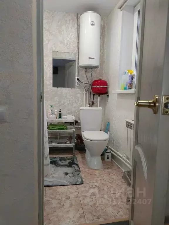 Студия Псковская область, Псковский район, Логозовская волость, д. ... - Фото 1