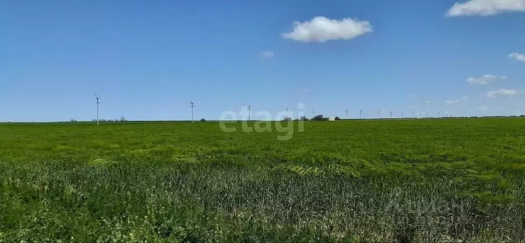 Участок в Крым, Черноморский район, с. Межводное ул. Джарылгачская ... - Фото 0