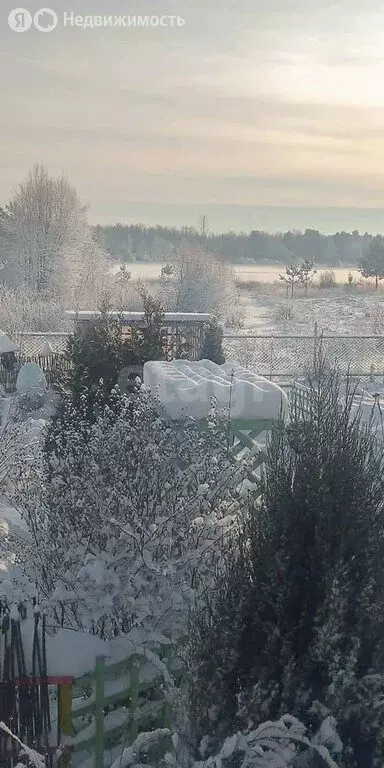 Дом в Ярославская область, Мышкинский муниципальный округ, деревня ... - Фото 2
