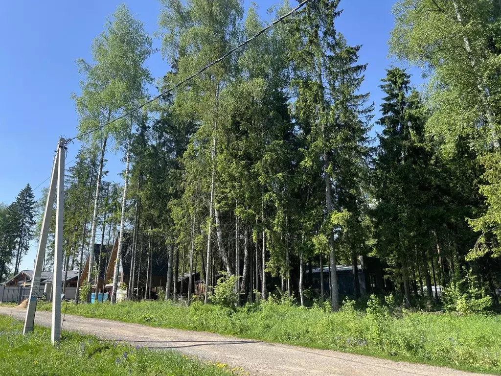 Участок в Московская область, Дмитровский муниципальный округ, ... - Фото 2