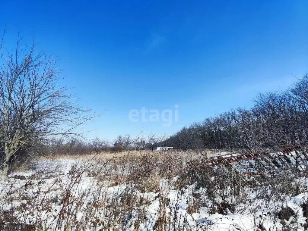 Участок в Белгородская область, Белгородский район, Беломестненское ... - Фото 1