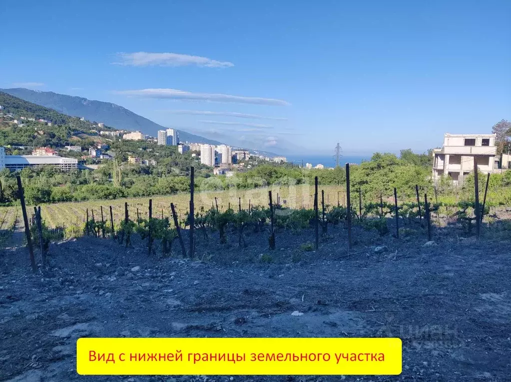 Участок в Крым, Ялта муниципальный округ, Виноградное пгт  (9.0 сот.) - Фото 0