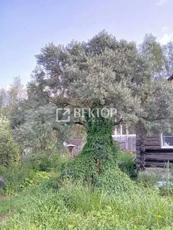 Дом в Костромская область, Кострома Полимер садоводческое ... - Фото 2