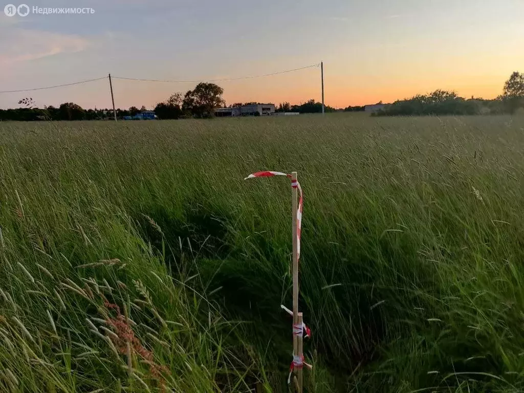 Участок в Новгородский район, Трубичинское сельское поселение, деревня ... - Фото 0