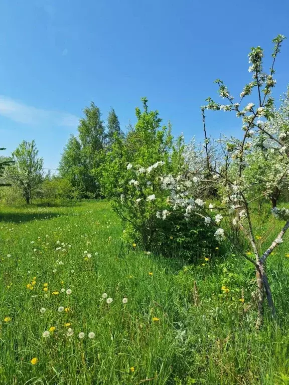 участок в ленинградская область, кингисеппский район, нежновское . - Фото 0