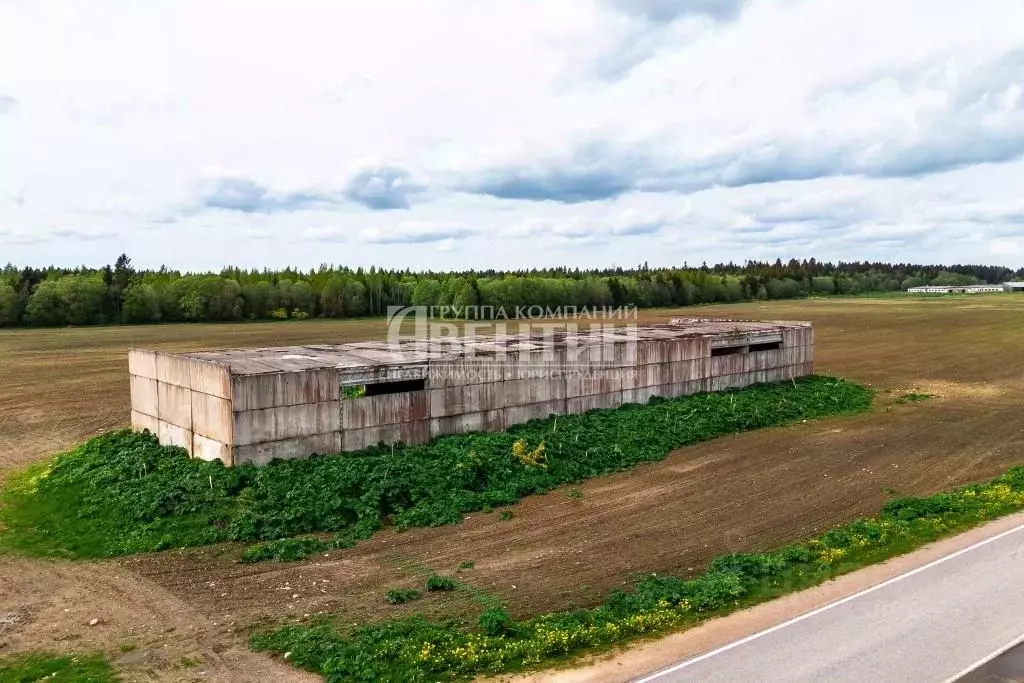 Склад в Ленинградская область, Волосовский район, Клопицкое с/пос, д. ... - Фото 2