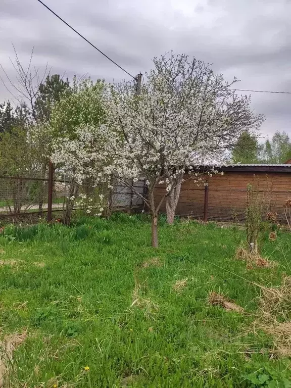 Участок в Московская область, Солнечногорск городской округ, Звездочка ... - Фото 1
