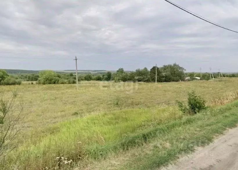 Участок в Воронежская область, Семилукский район, с. Губарево ул. ... - Фото 0