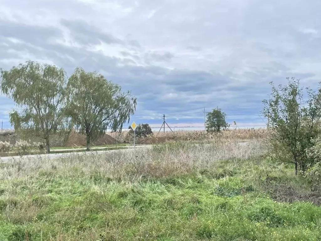 Дом в Краснодарский край, Анапа муниципальный округ, пос. Виноградный ... - Фото 0