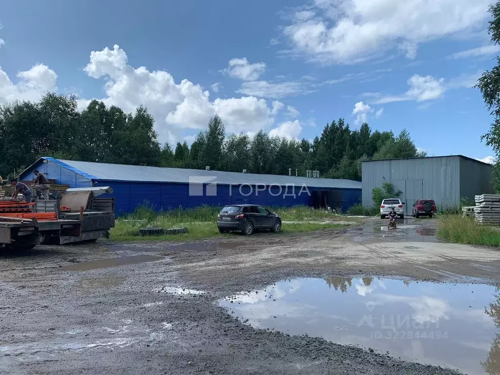 Помещение свободного назначения в Новосибирская область, Мошковский ... - Фото 2