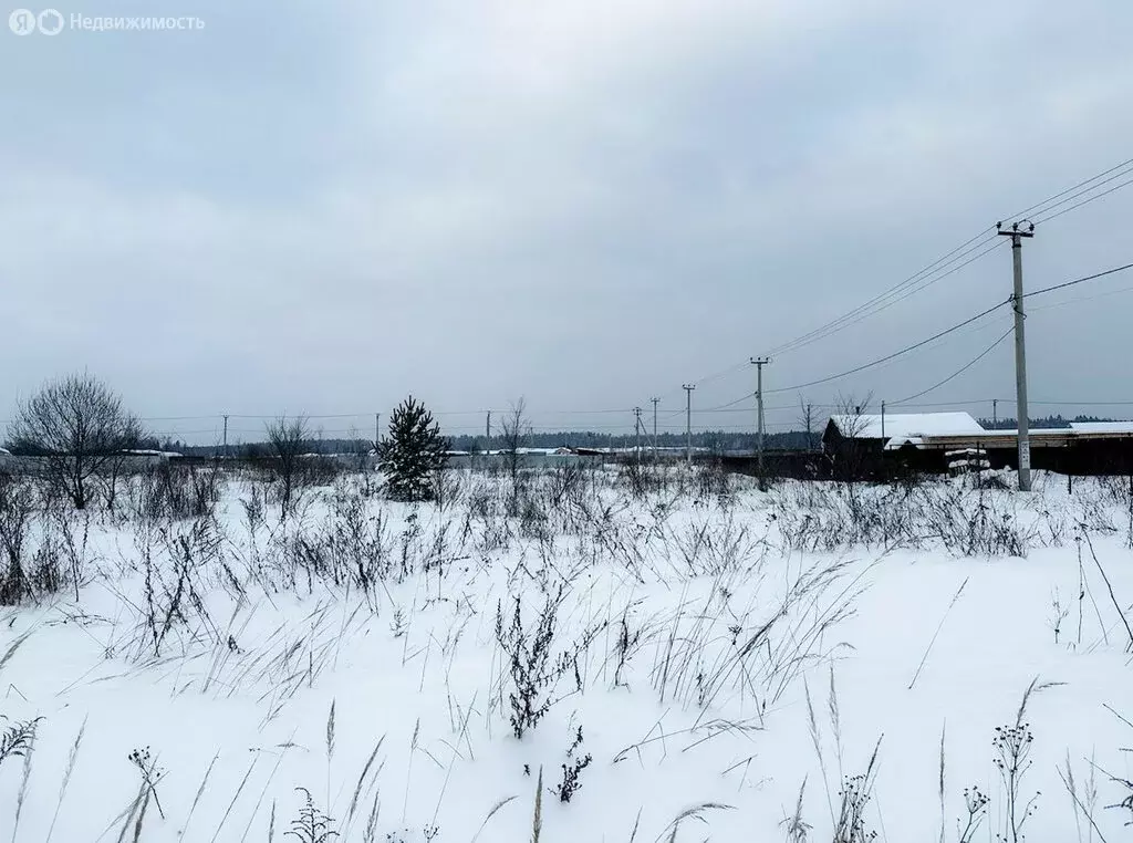 Участок в Московская область, муниципальный округ Чехов, деревня ... - Фото 1