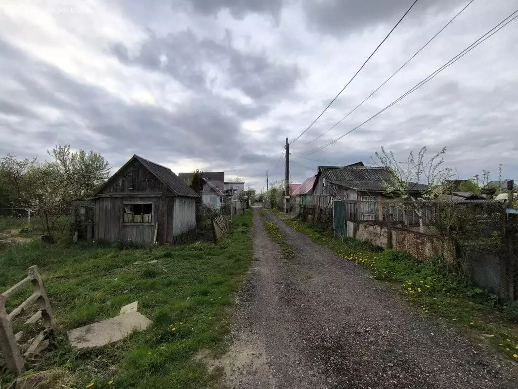 Участок в Калининград, СНТ Фрегат, Берёзовый проезд (6.62 м) - Фото 2