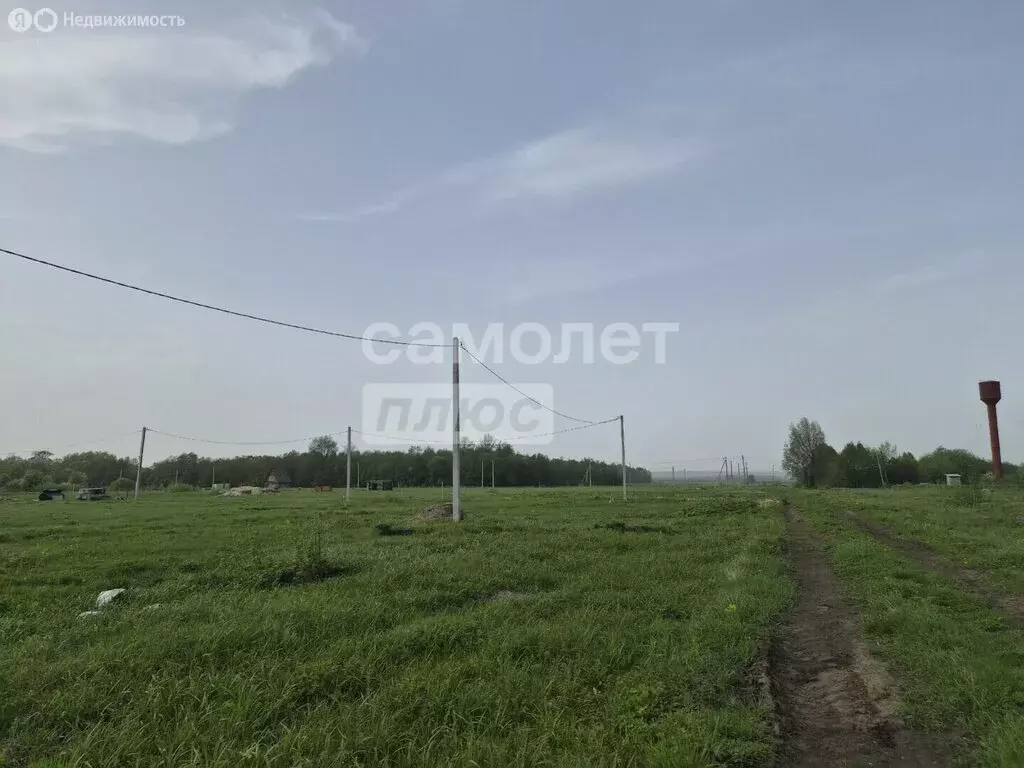 Участок в Медведевский район, Кузнецовское сельское поселение, деревня ... - Фото 1