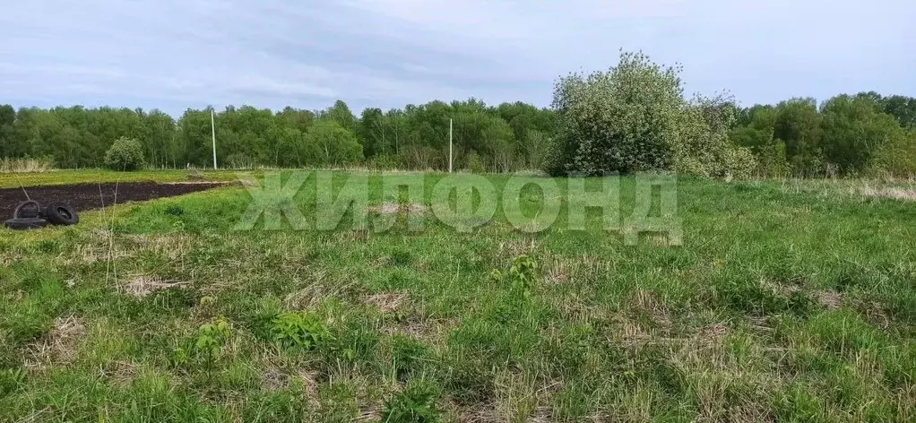 Участок в Новосибирская область, Мошковский район, с. Барлак ... - Фото 0