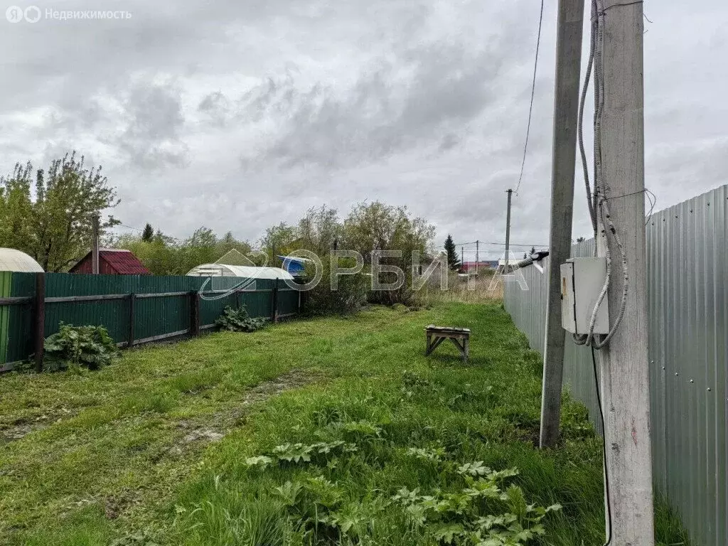 Участок в Ялуторовский район, садоводческое некоммерческое ... - Фото 0