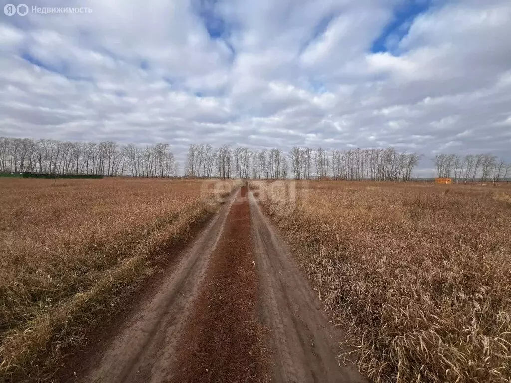 Участок в Омский район, село Розовка (11.16 м) - Фото 0