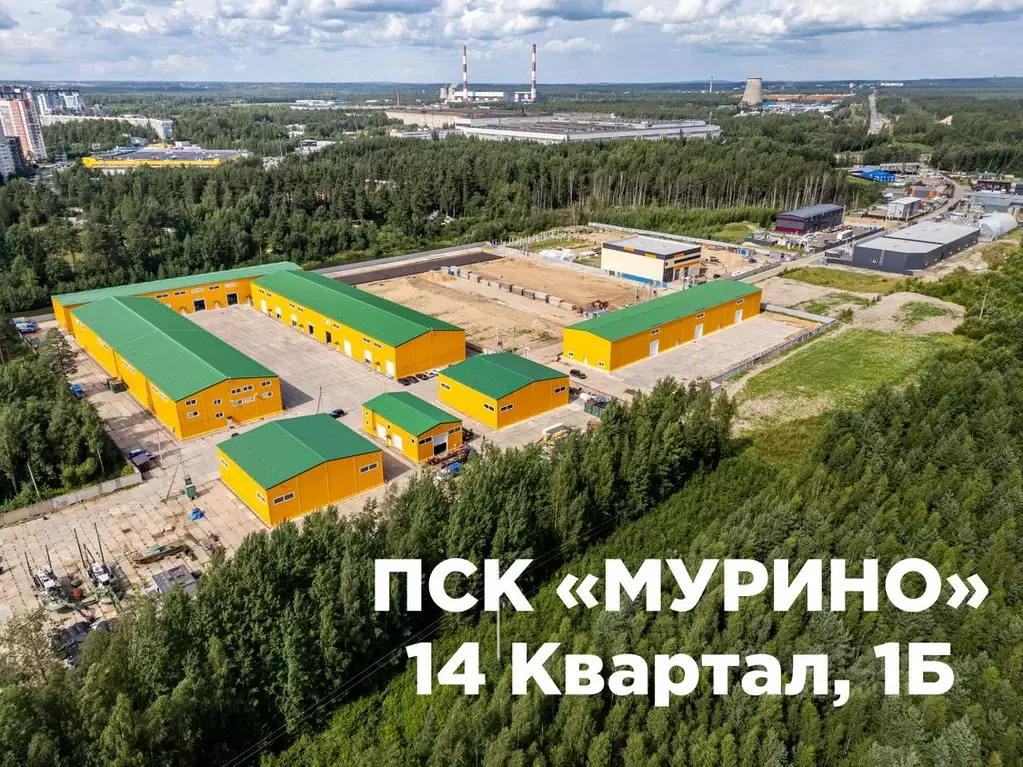Склад в Ленинградская область, Всеволожский район, Муринское городское ... - Фото 1