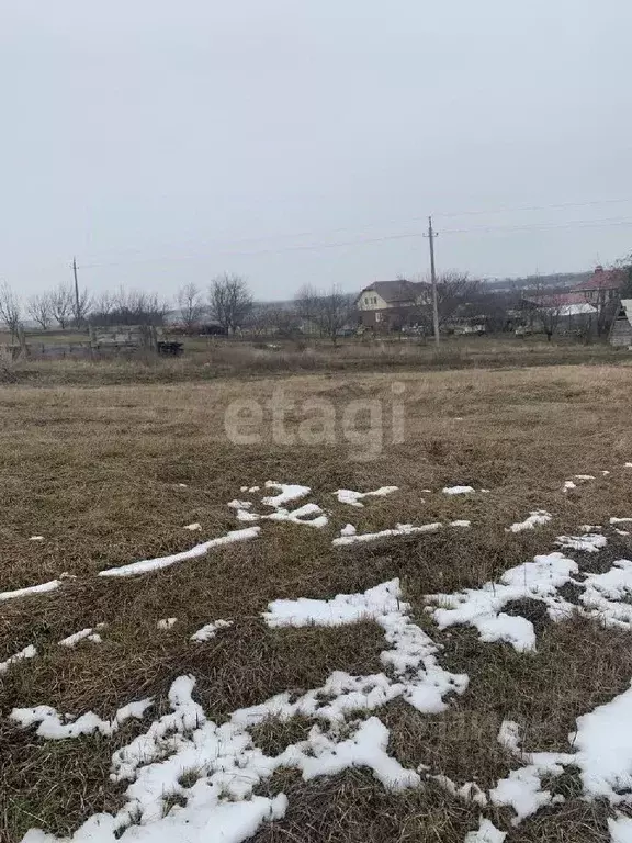 Участок в Белгородская область, Белгородский район, Беловское с/пос, ... - Фото 1