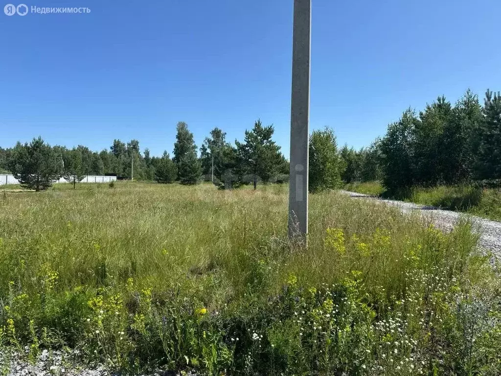 Участок в Искитимский район, село Быстровка (8.68 м) - Фото 0