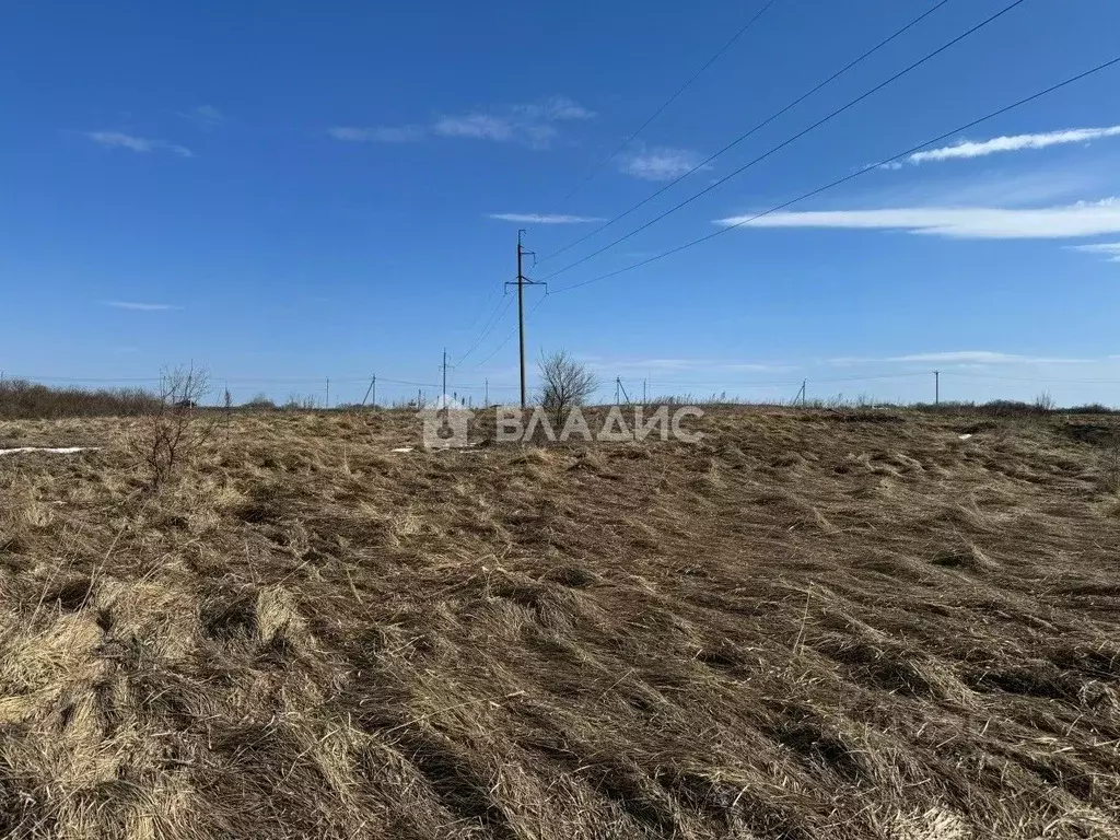 Участок в Пензенская область, Пензенский район, Засечный сельсовет, с. ... - Фото 1