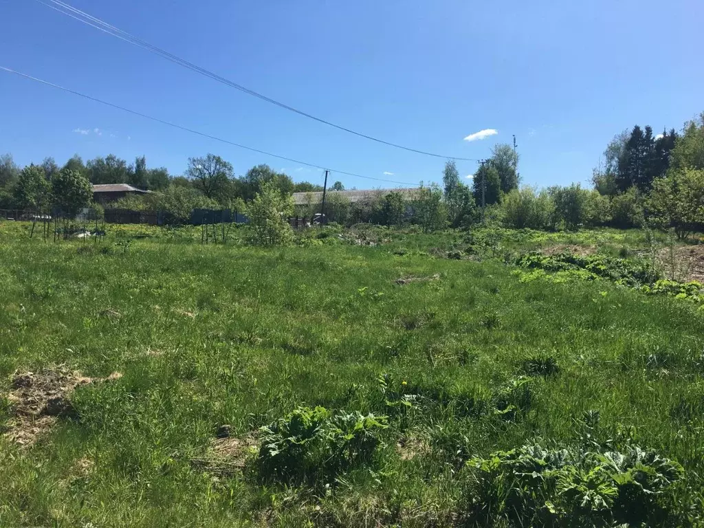 Участок в Московская область, Пушкинский городской округ, д. ... - Фото 0