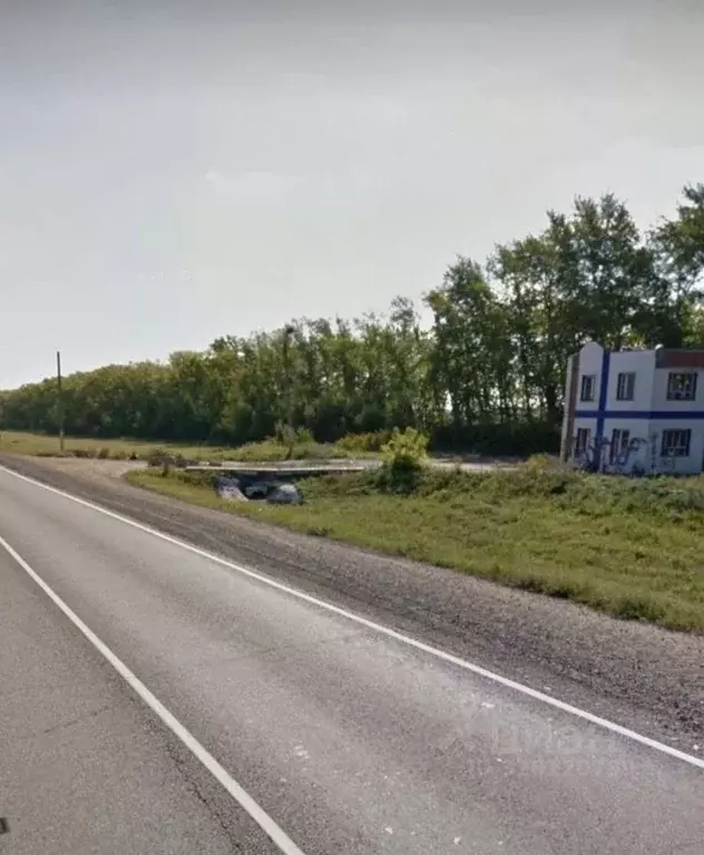 Участок в Рязанская область, Михайловский муниципальный округ Р-132, ... - Фото 1