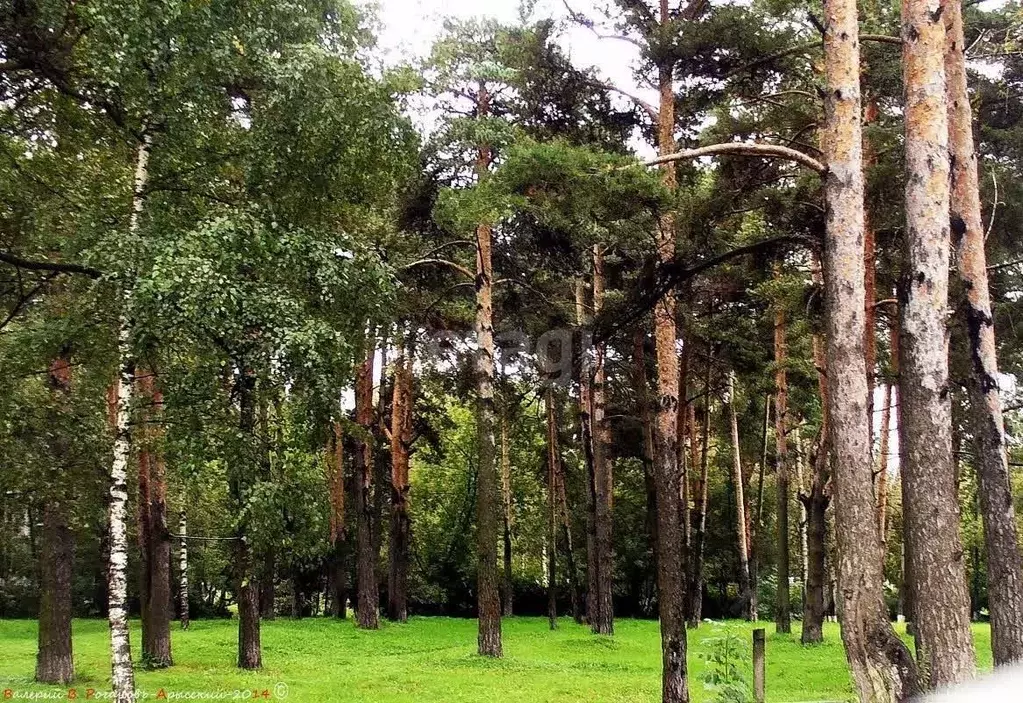 1-к кв. Московская область, Дмитров Имени В.Н. Махалина мкр, 40 (50.6 ... - Фото 1