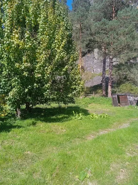 Участок в Алтай, Чемальский район, Узнезинское с/пос, с. Узнезя  (10.7 ... - Фото 1