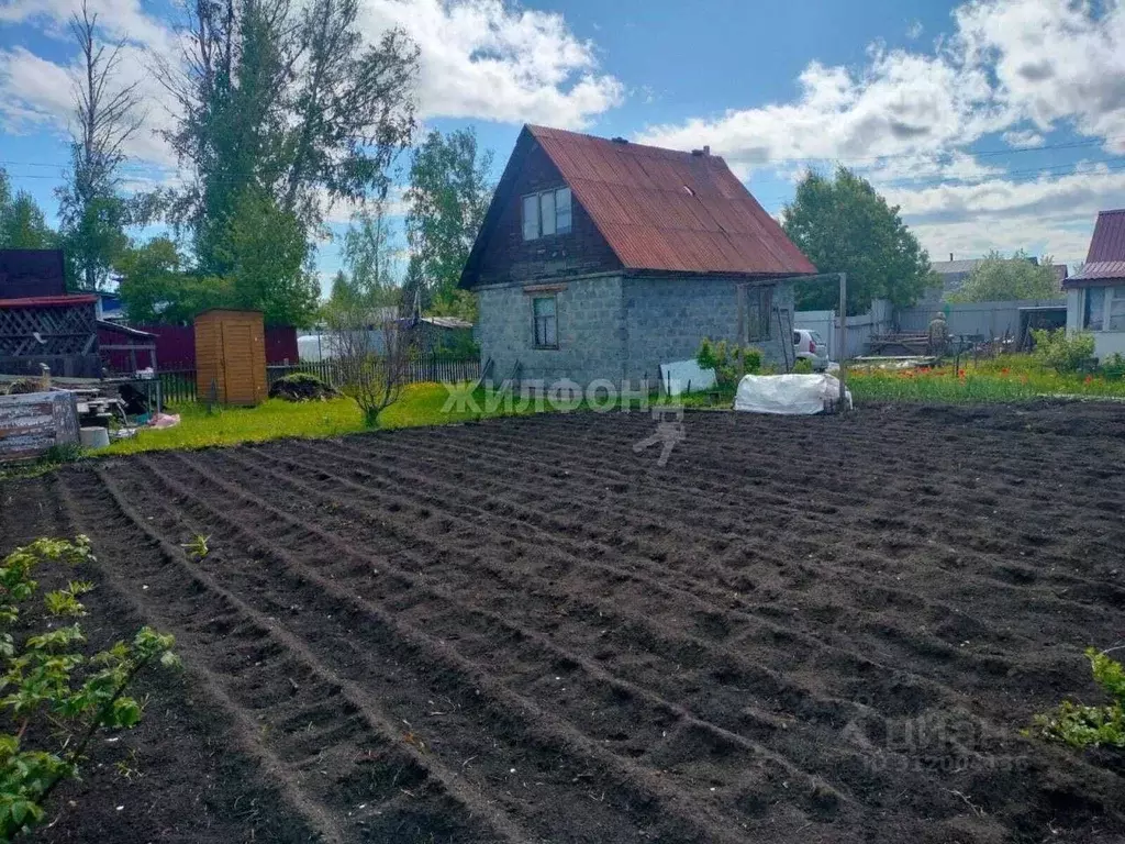 Дом в Новосибирская область, Новосибирск Буревестник садовое ... - Фото 1