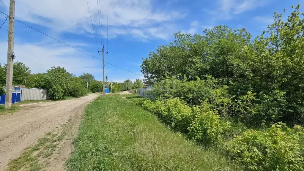 Участок в Крым, Белогорский район, с. Крымская Роза ул. Людмилы ... - Фото 1