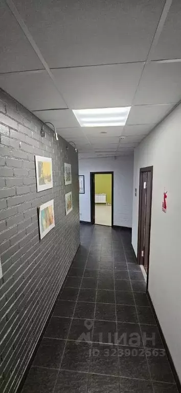 Офис в Ростовская область, Ростов-на-Дону ул. 14-я Линия, 15 (220 м) - Фото 2