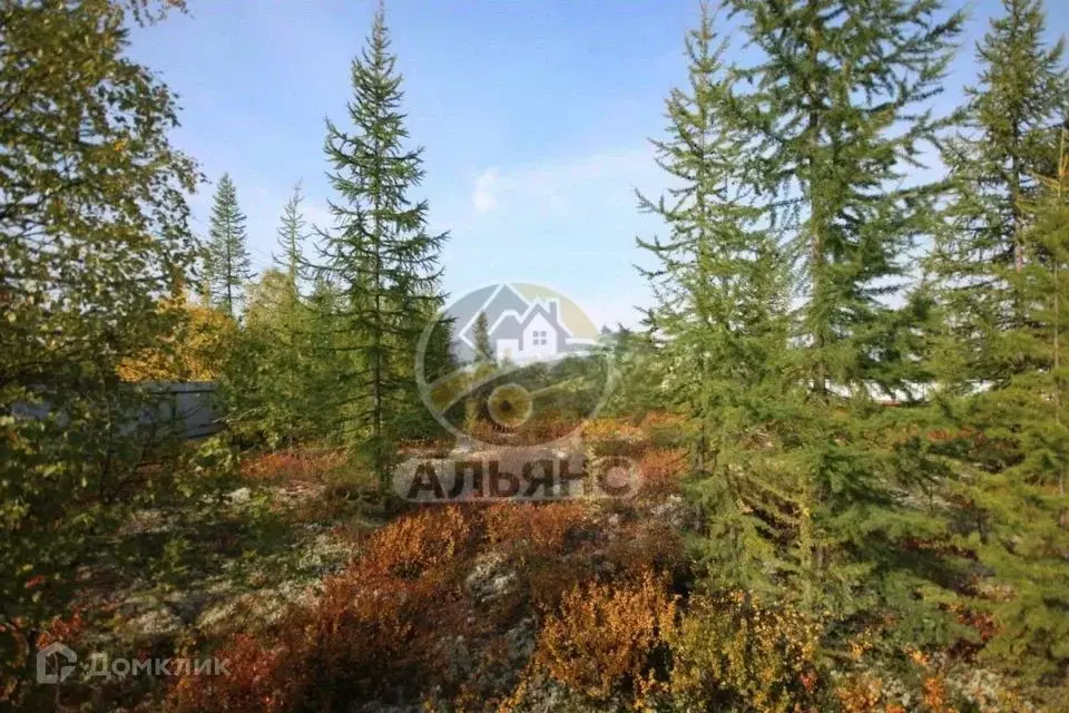 Дом в Ямало-Ненецкий АО, Новый Уренгой Титан ДНТ, ул. Небесная (190 м) - Фото 2